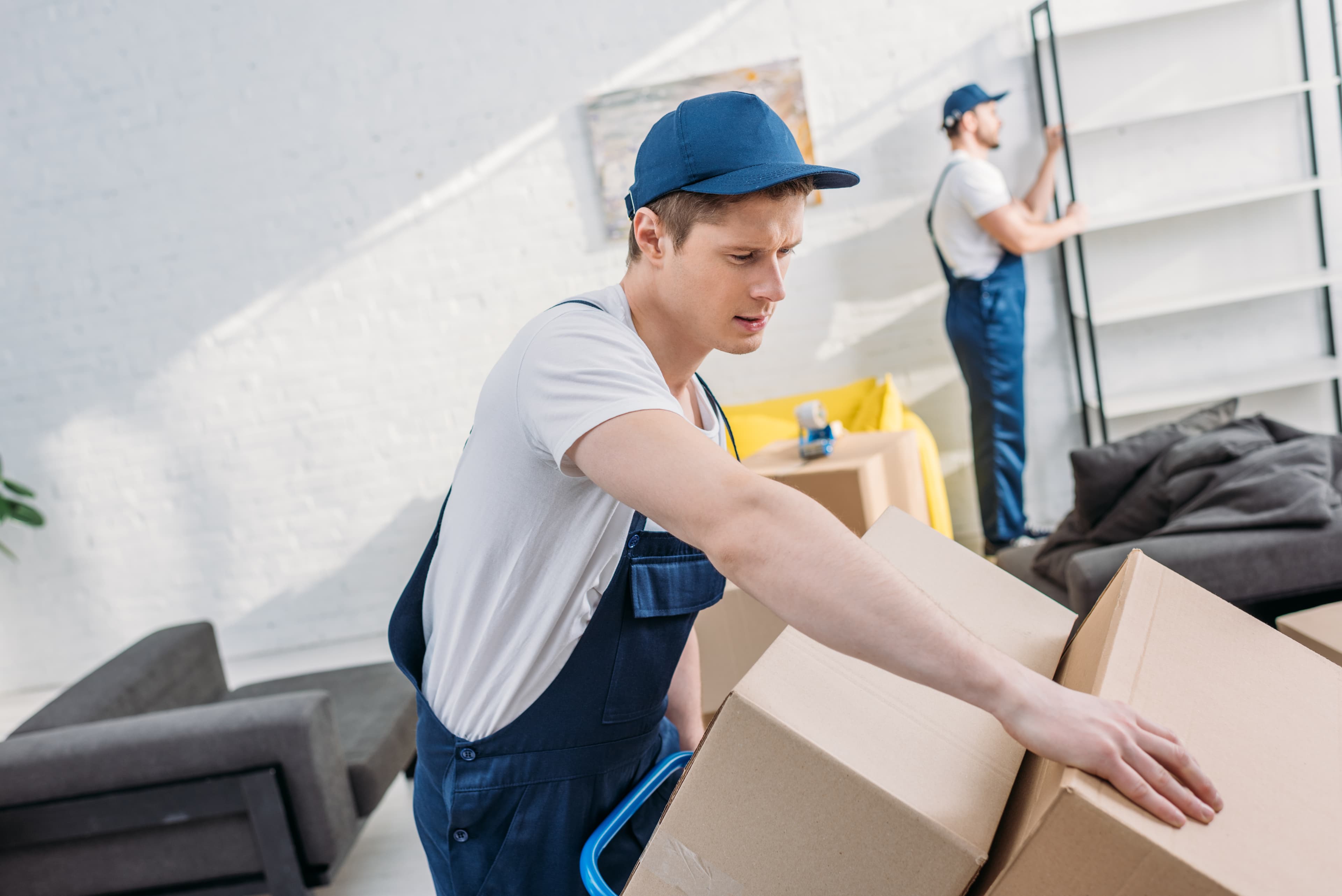 Moving and Storage Services